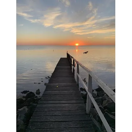 Watt'n Dog - Urlaub Direkt Am Nordseedeich *