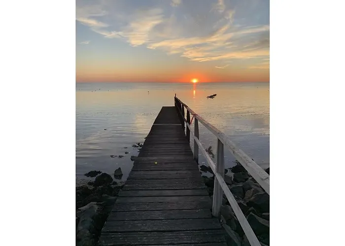 Watt'n Dog - Urlaub Direkt Am Nordseedeich *